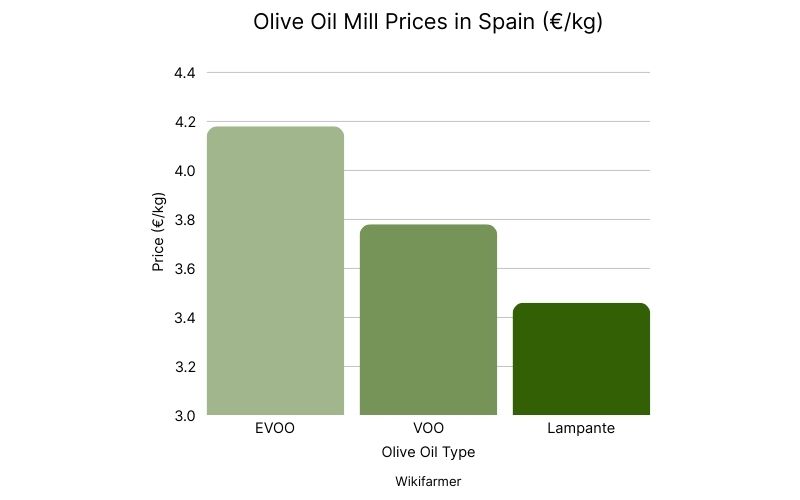 Olive Oil Mill Prices in Spain.jpg